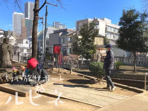 ちょい旅サポート ルピネ