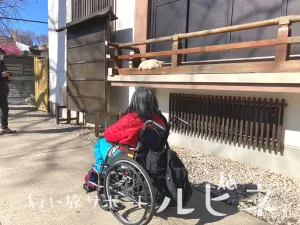 ちょい旅サポート ルピネ