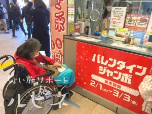 ちょい旅サポート ルピネ