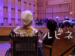 【付き添いサービス】コンサートに行きたい！【外出支援】