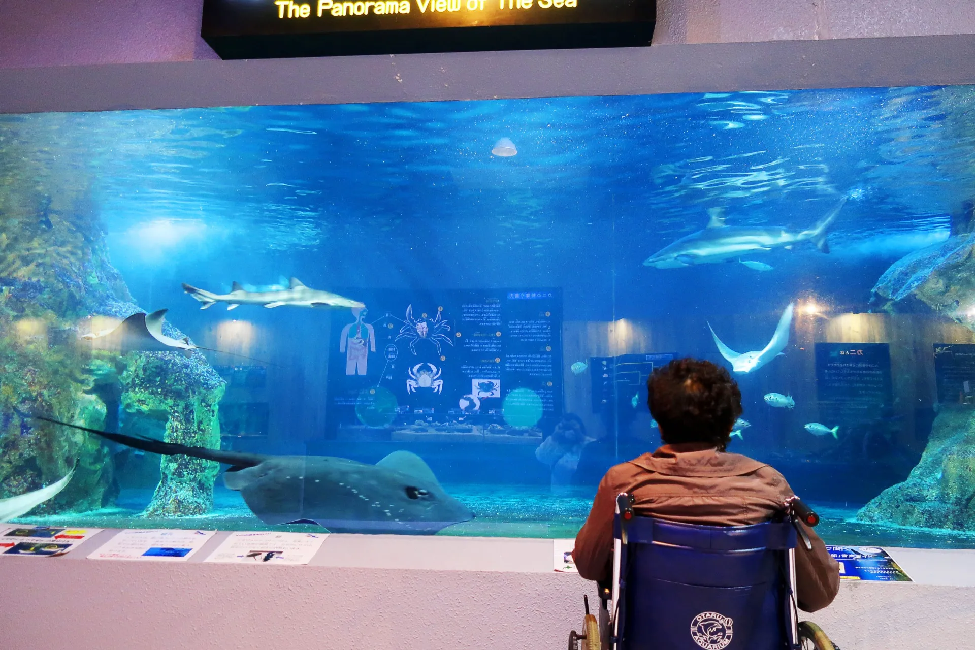 小樽での法要に参列できたし、おたる水族館にも行けるなんて思ってもなかった