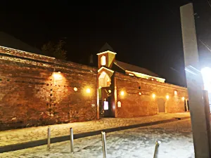 【付き添いサービス】結婚式へ同行支援 〜目が見えなくても、想いは届く〜【冠婚葬祭】