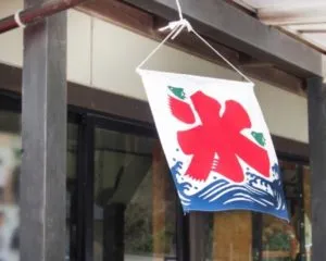 かき氷の味の実験