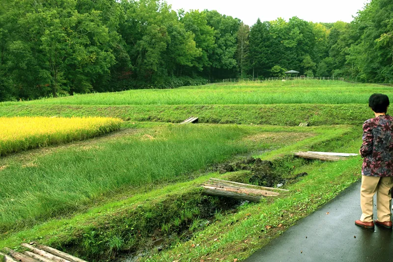 【あんなに喜ぶとは】函館１泊２日 温泉観光旅行【ちょい旅サポート】
