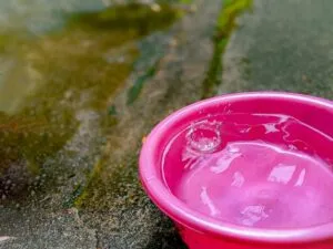 ちょい旅サポート ルピネ