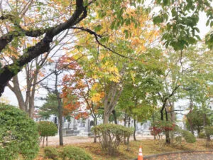 【ご法要のサポート】大切な納骨式に列席するために【付き添いサービス】